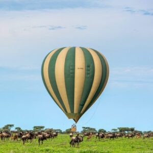 Serengeti Osupuko Camp, Best African Safari Destinations, Why Hot Air Ballooning in East Africa Is Time Sensitive, Hot Air Balloon Safari in Tanzania - What to Expect