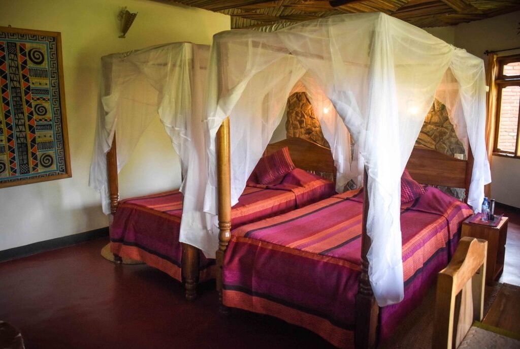 Christmas and New Year on Safari - Tanzania safari in December