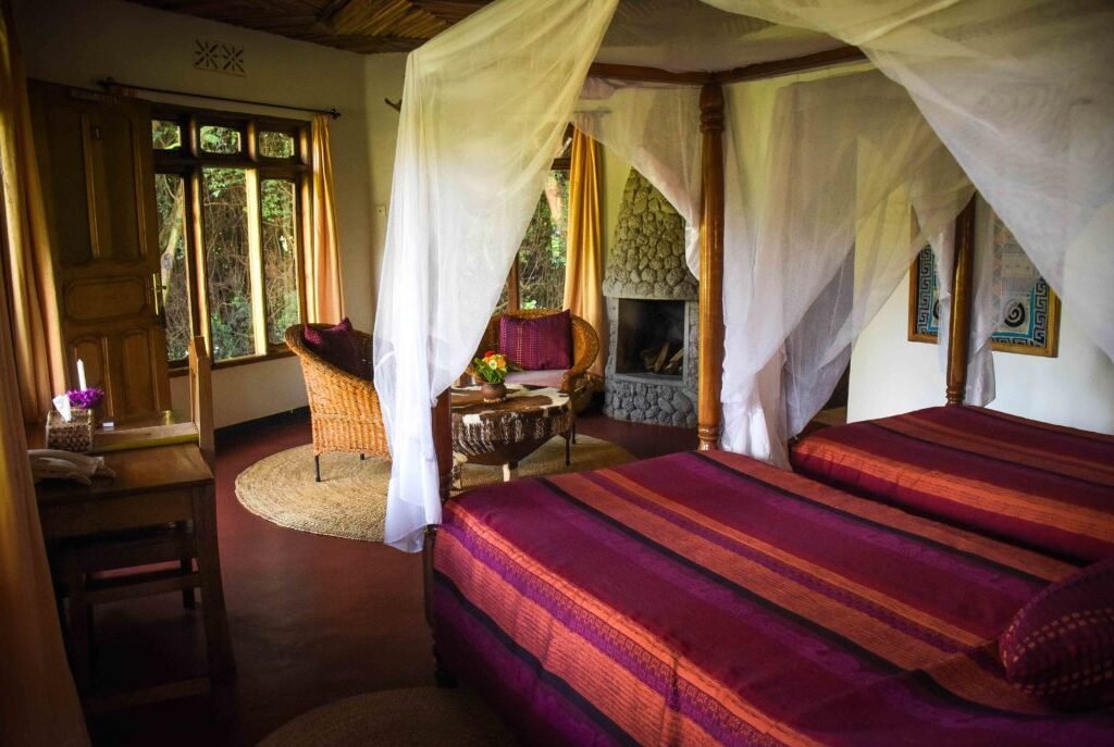 Lower Shoulder-Season Rates - Tanzania safari in November