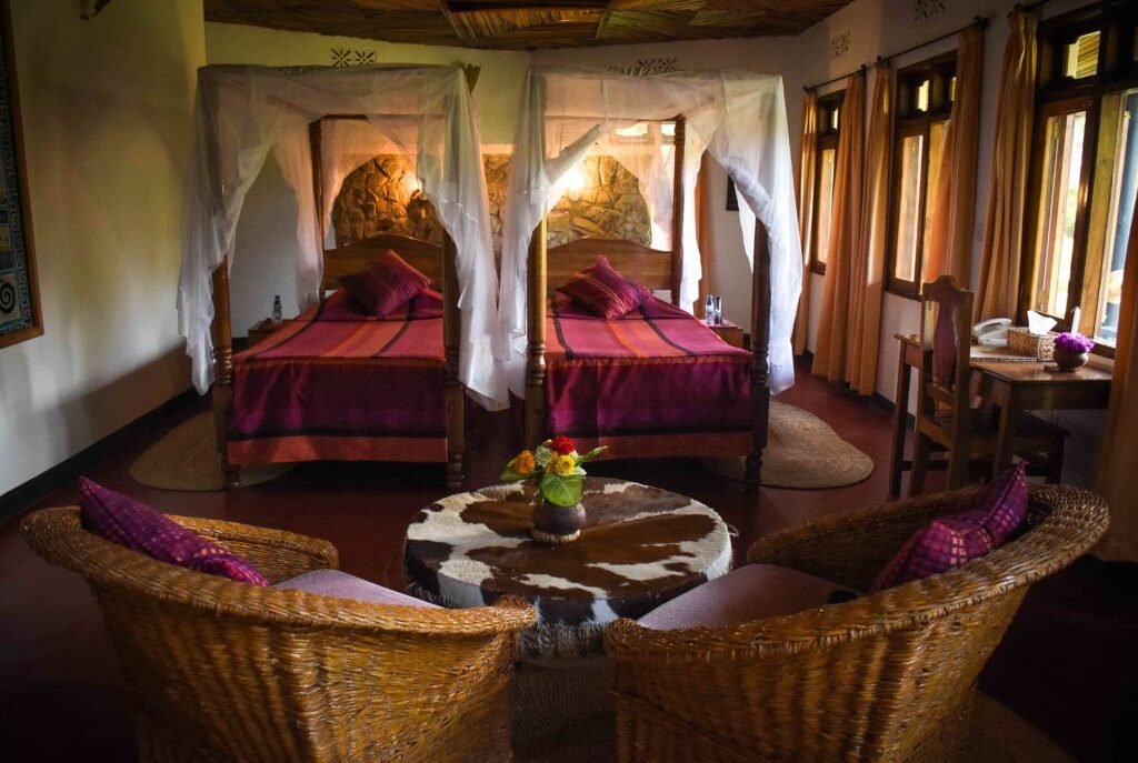 Organise Visas and Documents - Tanzania safari in December