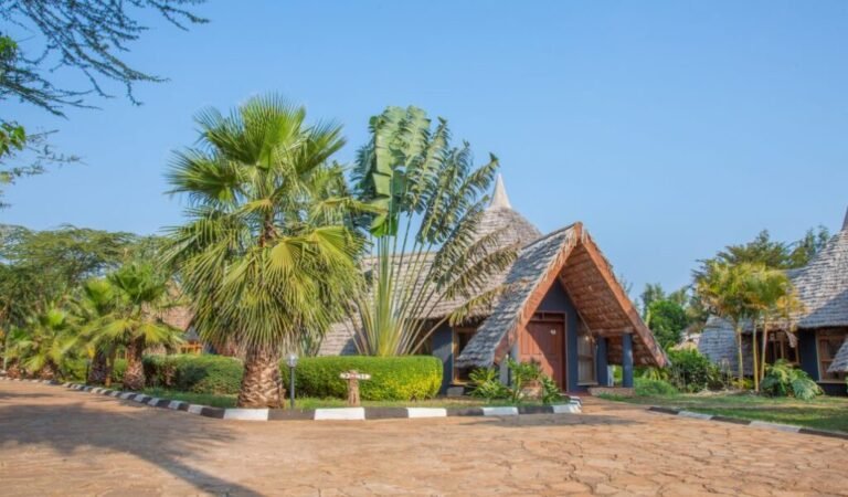 Farm of Dream Lodge
