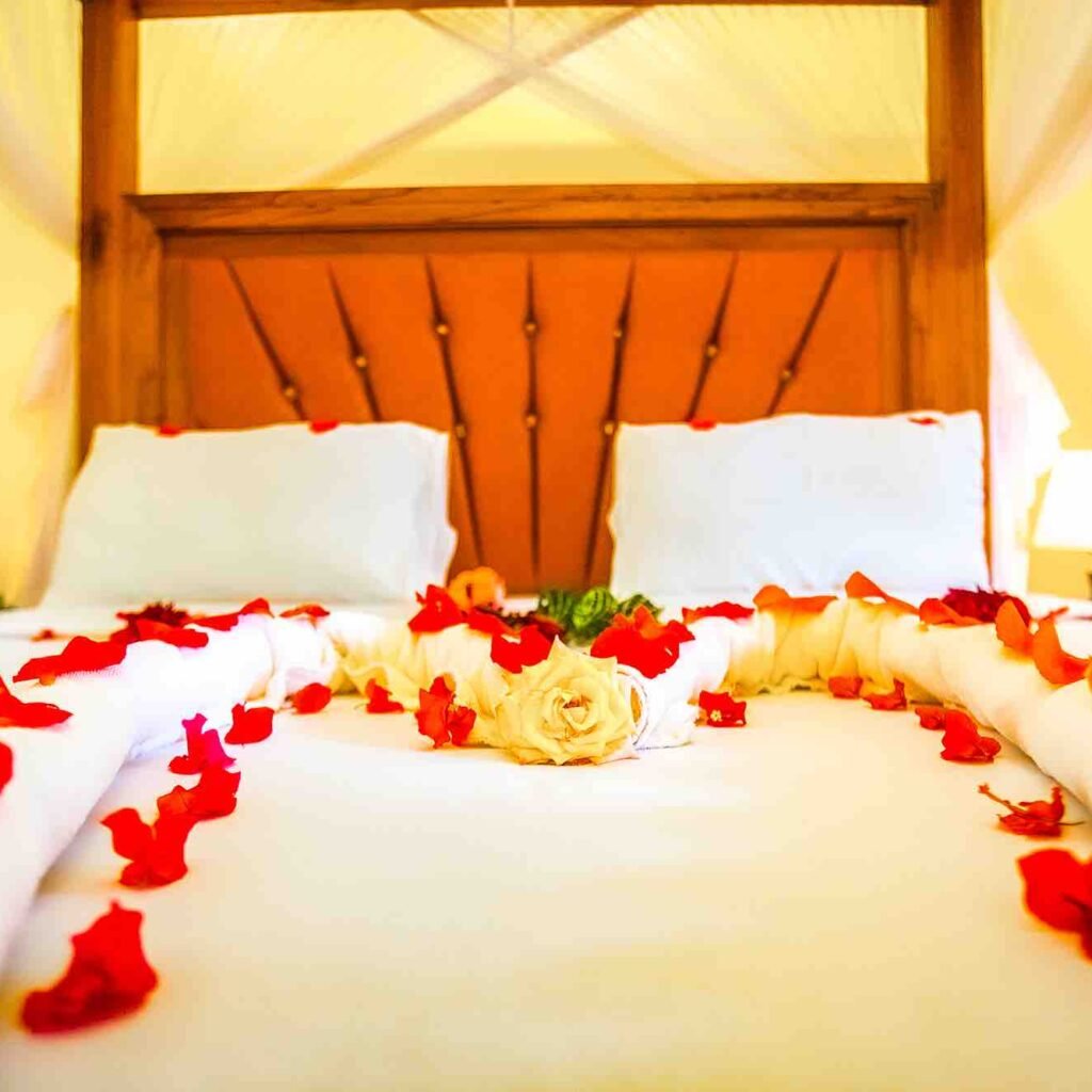 Exclusive Privacy - luxury Tanzania safari