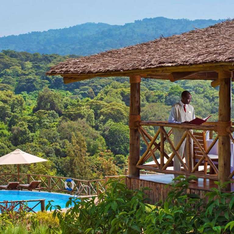 VIP Serengeti Tour Operators & Travel Agents (A–Z List)