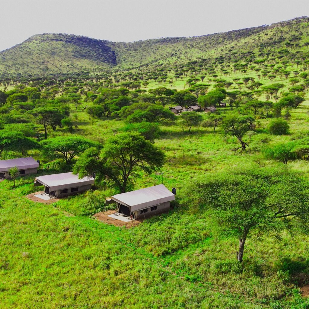 Serengeti in May - Tanzania safari in May