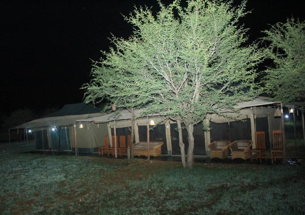 Number of Nights - Tanzania safari in September