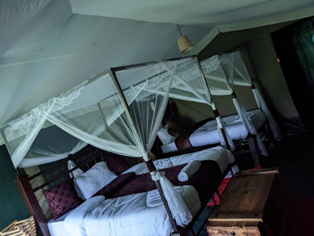 Reserve Nine to Twelve Months Ahead - Tanzania safari in August