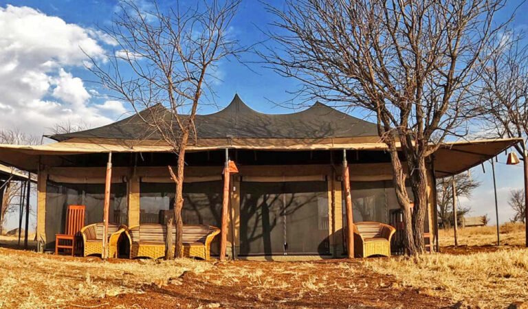 Robin's Safari Camp