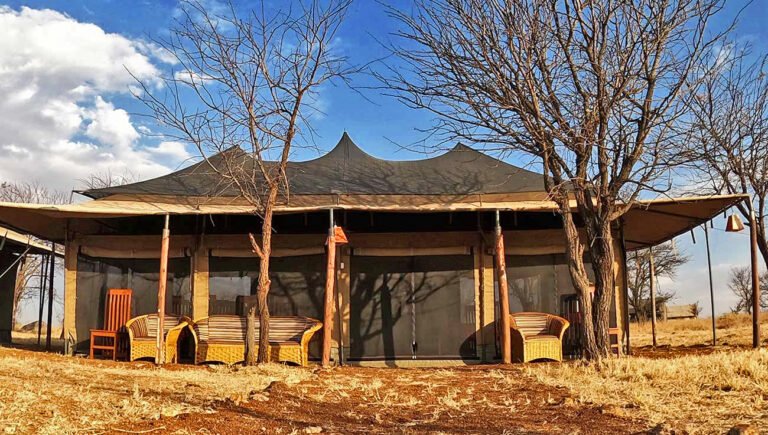 Robin's Safari Camp