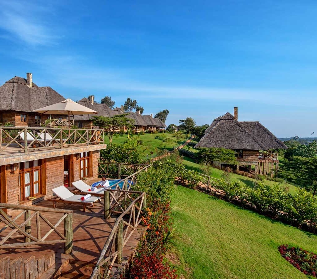 Highest Rates and Early Booking - Tanzania safari in August