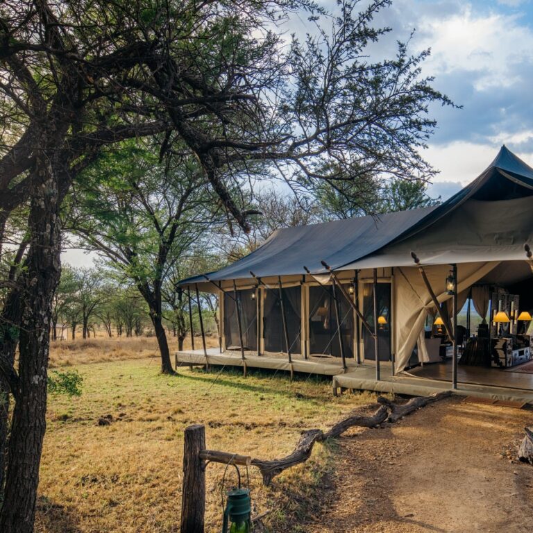This Luxury Camp is strategically located within the northern (Kogatende) area of the famous Serengeti National Park in Tanzania and is set amidst the most prime areas of the Serengeti following the path of the great migration,