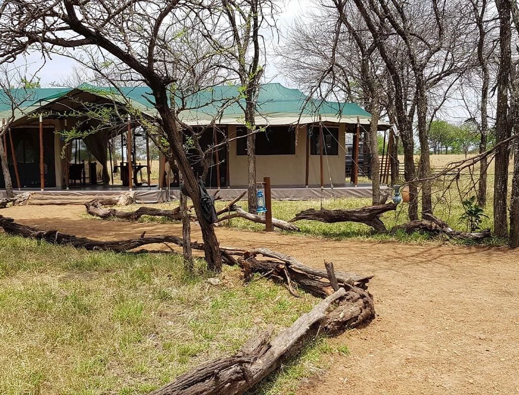 Park and Conservation Fees - Tanzania safari in May