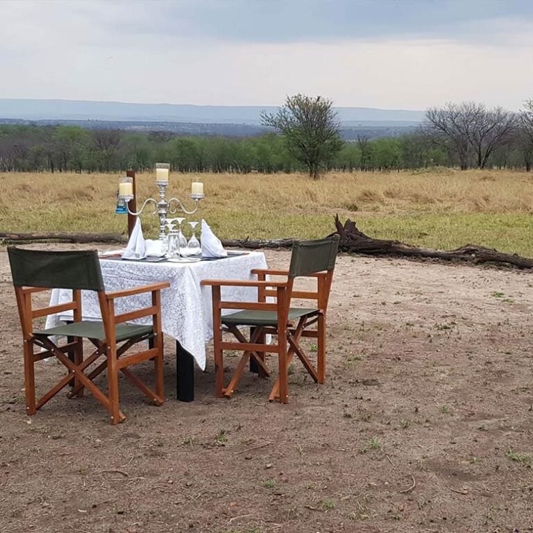 This Luxury Camp is strategically located within the northern (Kogatende) area of the famous Serengeti National Park in Tanzania and is set amidst the most prime areas of the Serengeti following the path of the great migration,, What to Expect on Safari in Tanzania