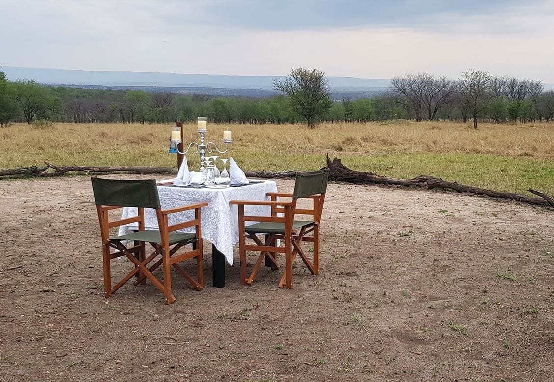 What to Expect on a Safari in Tanzania