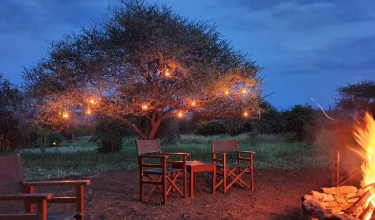 Experience luxury at Tarangire Kuro Treetops Lodge with breathtaking views of Ngorongoro, 9-Day Tanzania Family Safari with Older Children, 12-Day Serengeti Calving Safari & Zanzibar Beach Holiday
