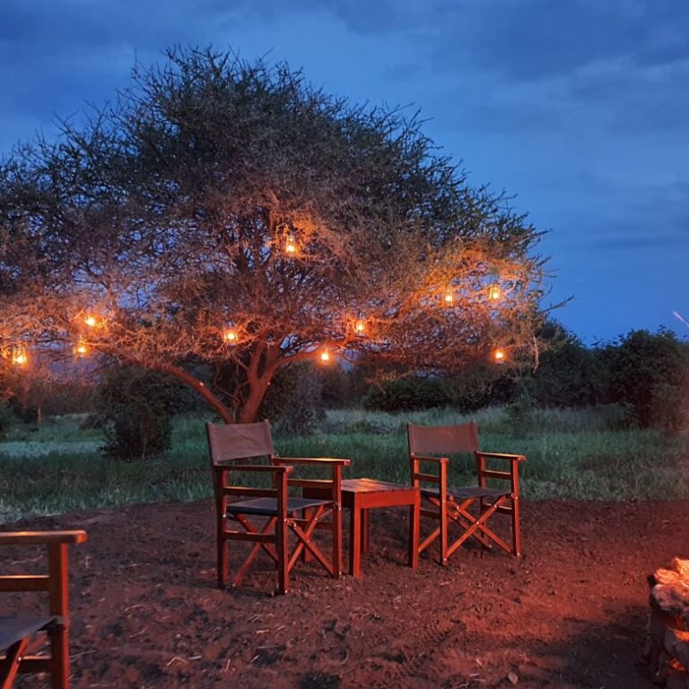 Experience luxury at Tarangire Kuro Treetops Lodge with breathtaking views of Ngorongoro, 9-Day Tanzania Family Safari with Older Children