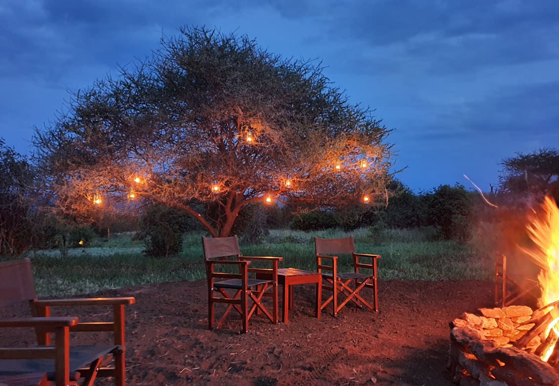 Experience luxury at Tarangire Kuro Treetops Lodge with breathtaking views of Ngorongoro, 9-Day Tanzania Family Safari with Older Children