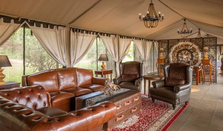 Experience luxury at Tarangire Kuro Treetops Lodge with breathtaking views of Ngorongoro...