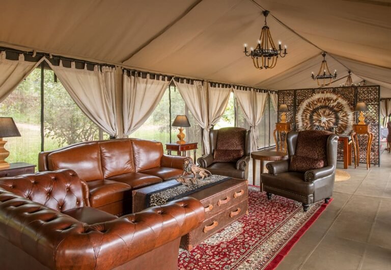 Experience luxury at Tarangire Kuro Treetops Lodge with breathtaking views of Ngorongoro...