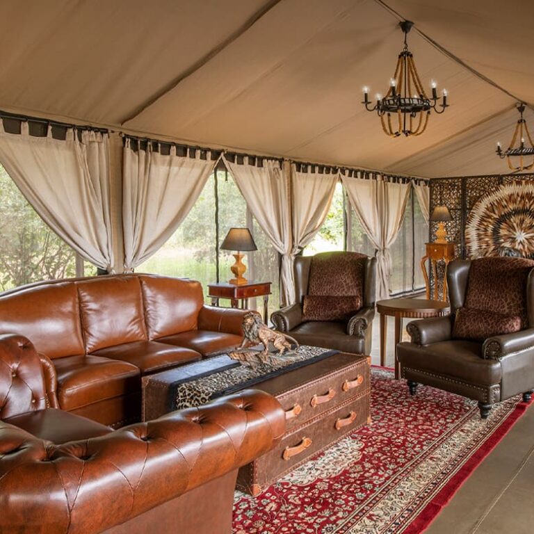Experience luxury at Tarangire Kuro Treetops Lodge with breathtaking views of Ngorongoro...