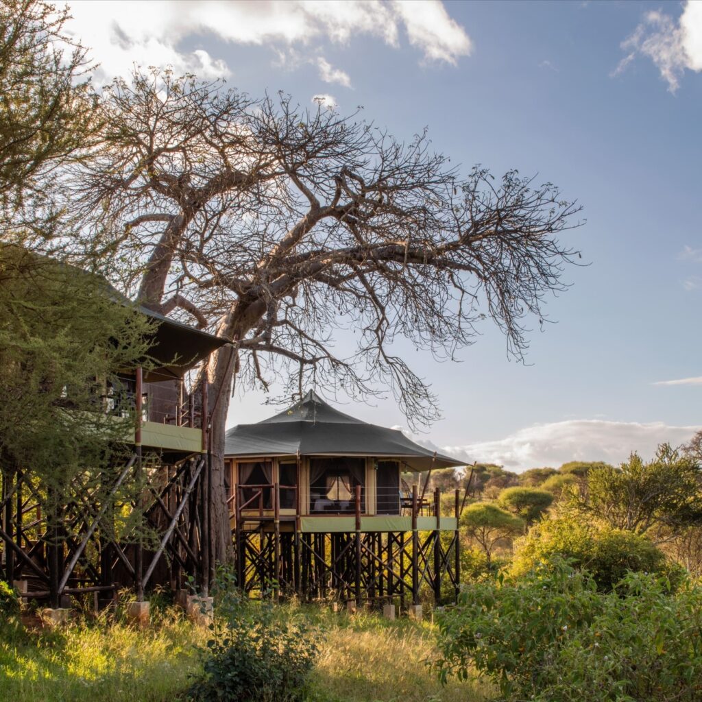 Experience luxury at Tarangire Kuro Treetops Lodge with breathtaking views of Ngorongoro, Tarangire Safari Accommodations, 12-Day Alluring East African Luxury Safari