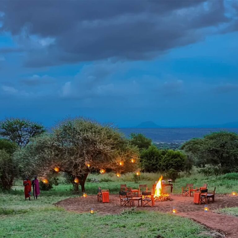 Experience luxury at Tarangire Kuro Treetops Lodge with breathtaking views of Ngorongoro...