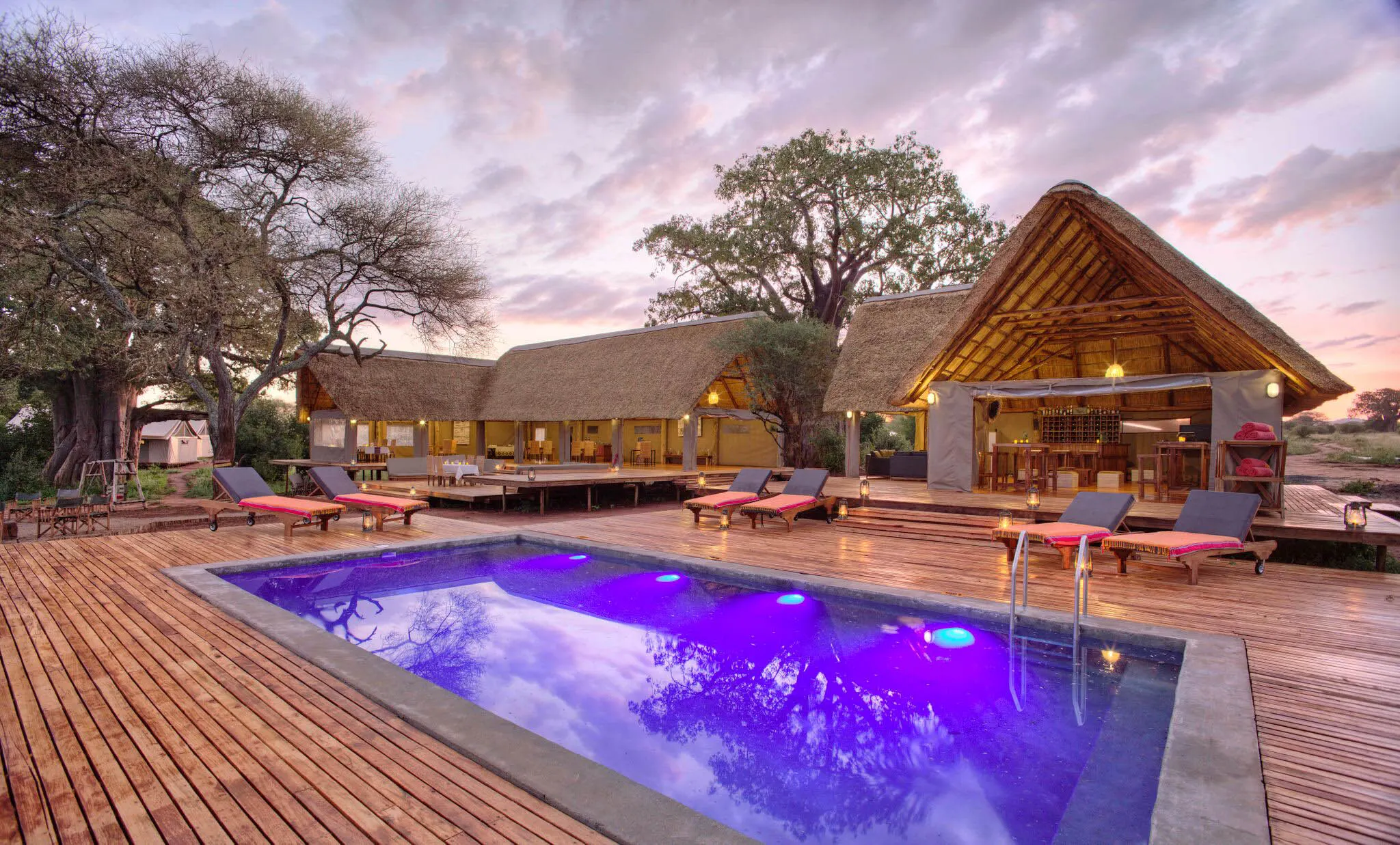 Best Tanzania family resorts all inclusive With Kids Friendly Safari