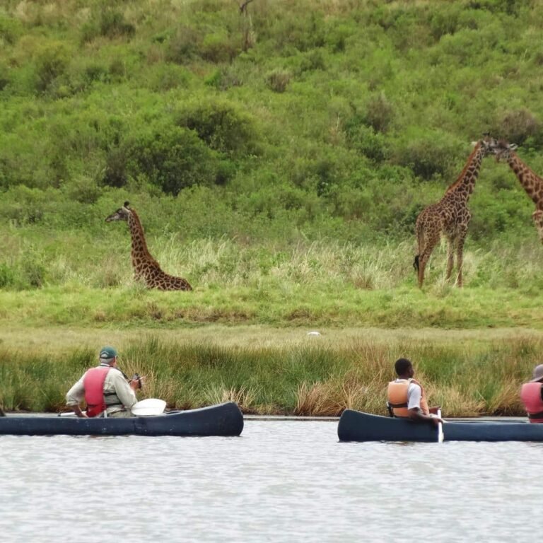 Canoeing in Arusha National Park in the green season