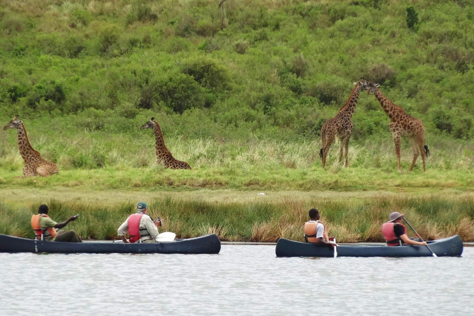 Arusha National Park Safari Tours