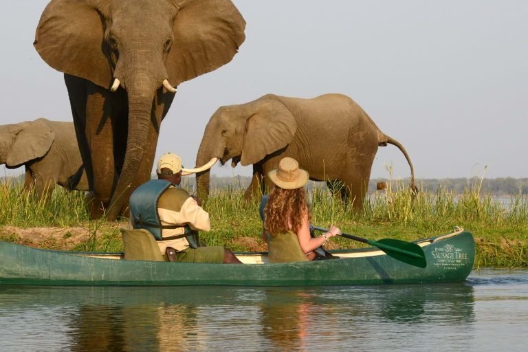 Arusha National Park Canoeing Tour Operators & Travel Agents (A–Z List)