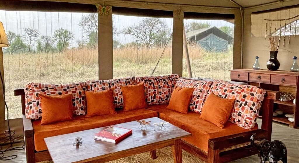 Golden Plains and Bare Baobabs - Tanzania safari in October