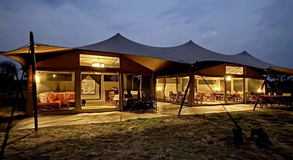 Lush Plains and Dramatic Skies - Tanzania safari in December