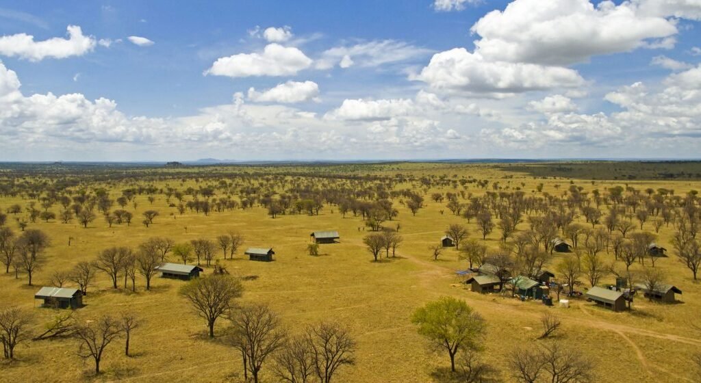 Serengeti in February - Tanzania safari in February