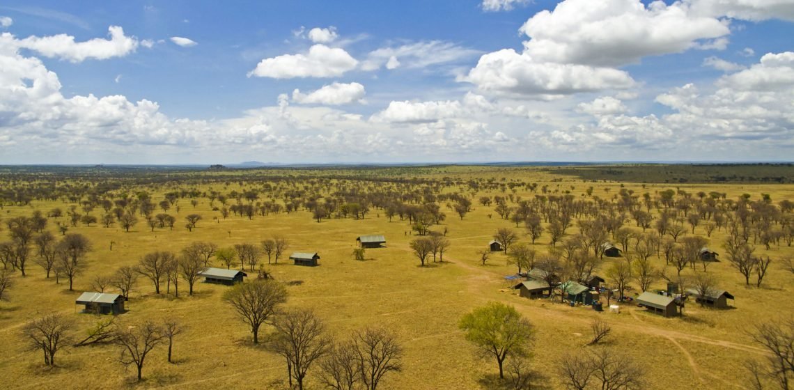 Best African Safari Experiences