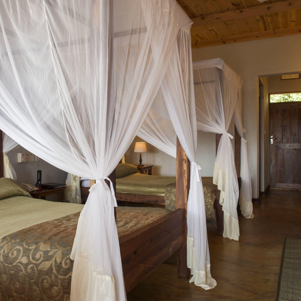 Karatu Coffee Farms and Highland Walks - Tanzania safari in May