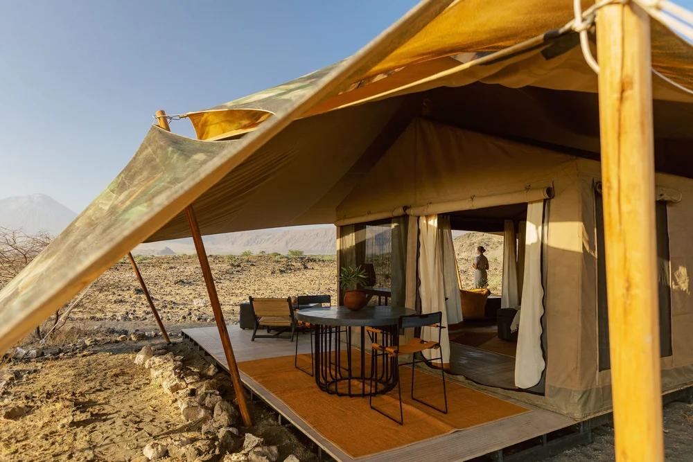 Organise Visas and Documents - Tanzania safari in June