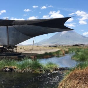 lake natron camp pool tanzania bedroom, Where to Stay in Lake Natron