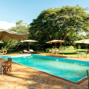 ole farm lodge karatu, Tanzania luxury Safari Packages, 5-Day Upper Mid-Range Best of Tanzania Safari