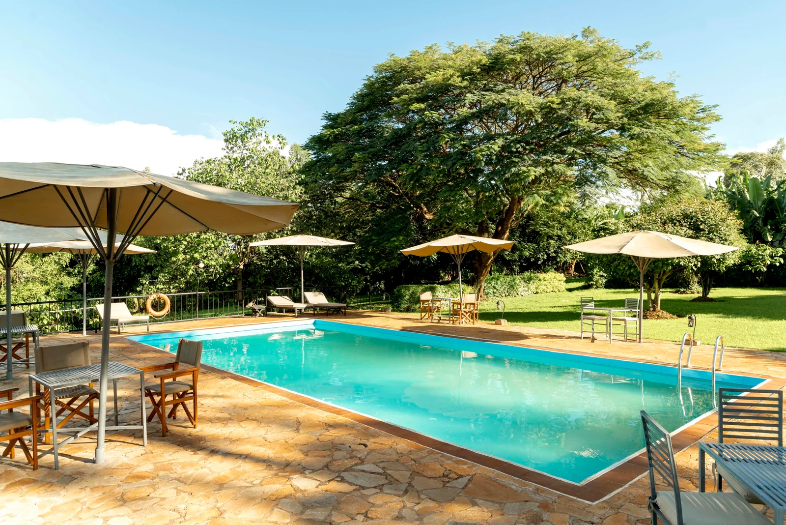 ole farm lodge karatu, Tanzania luxury Safari Packages, 5-Day Upper Mid-Range Best of Tanzania Safari