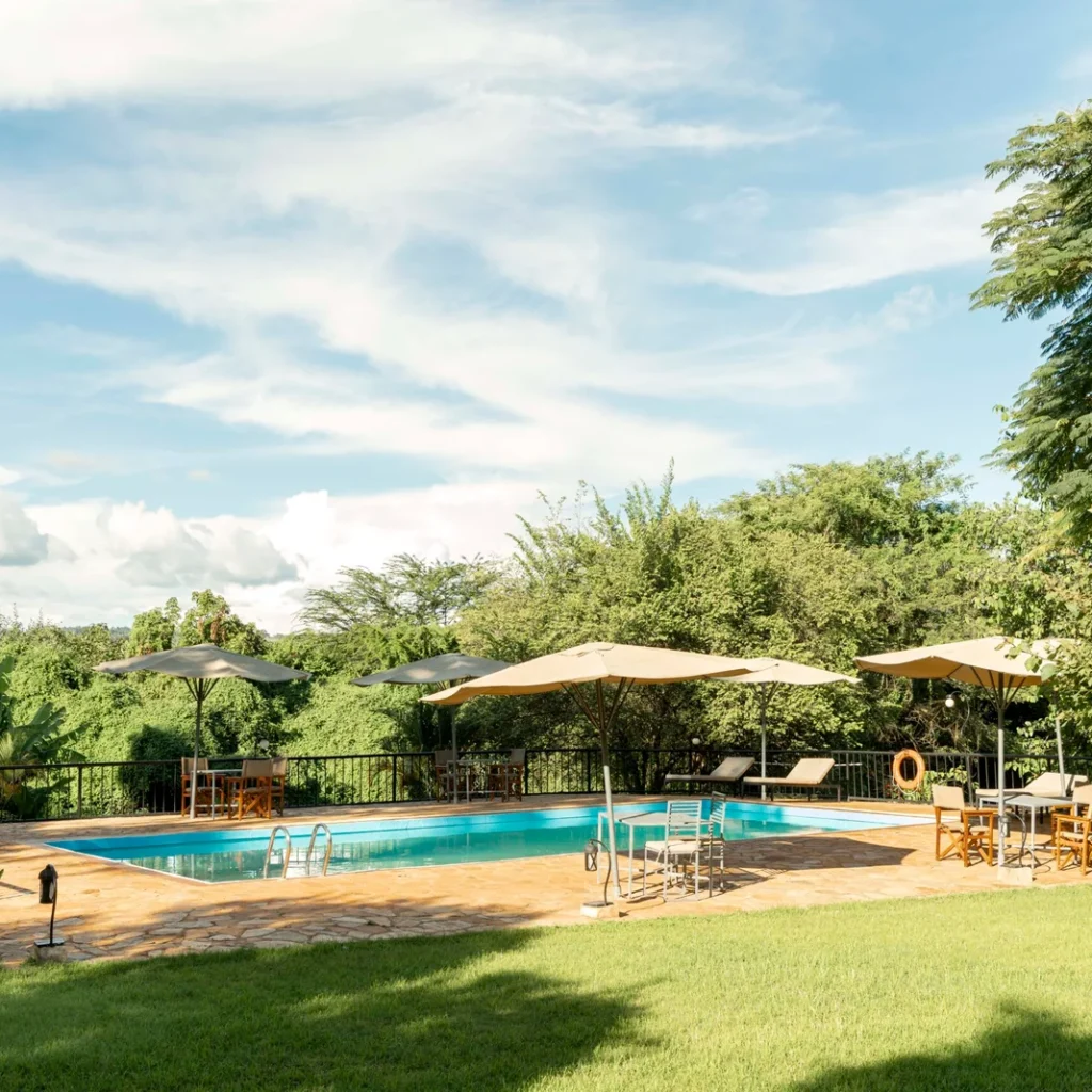 Lower Green-Season Rates - Tanzania safari in April