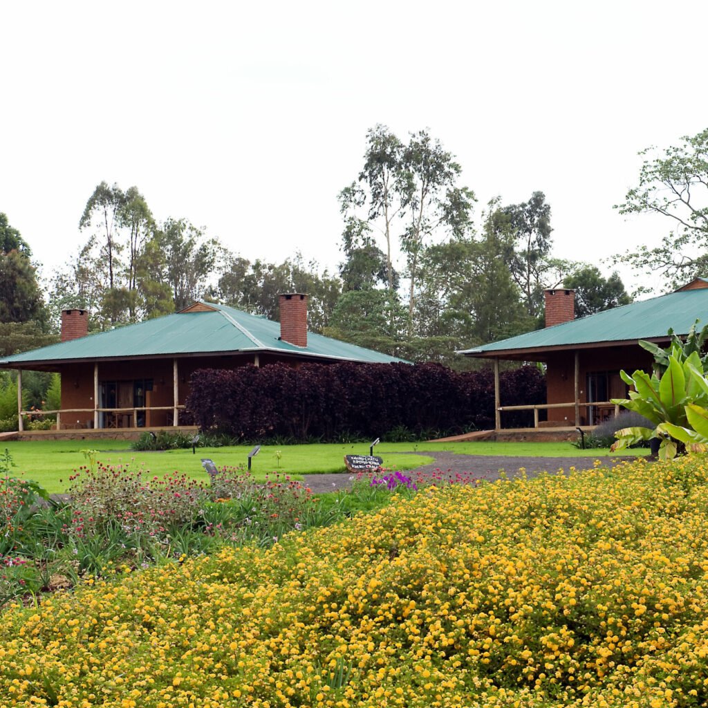 Lower Green-Season Rates - Tanzania safari in May