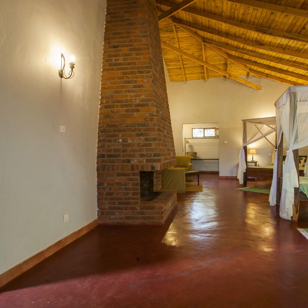 Luxury Tanzania Safari All-Inclusive Packages