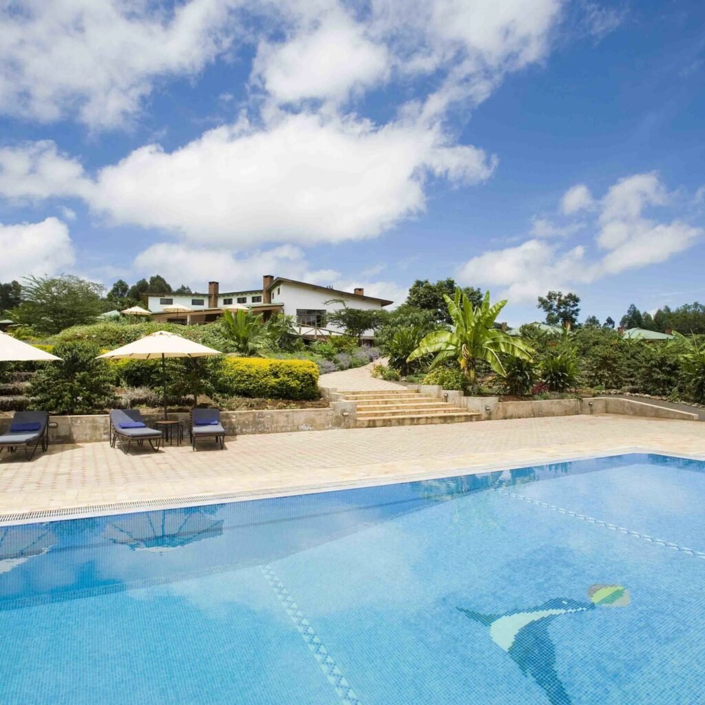 Tloma Lodge - Tanzania safari in March