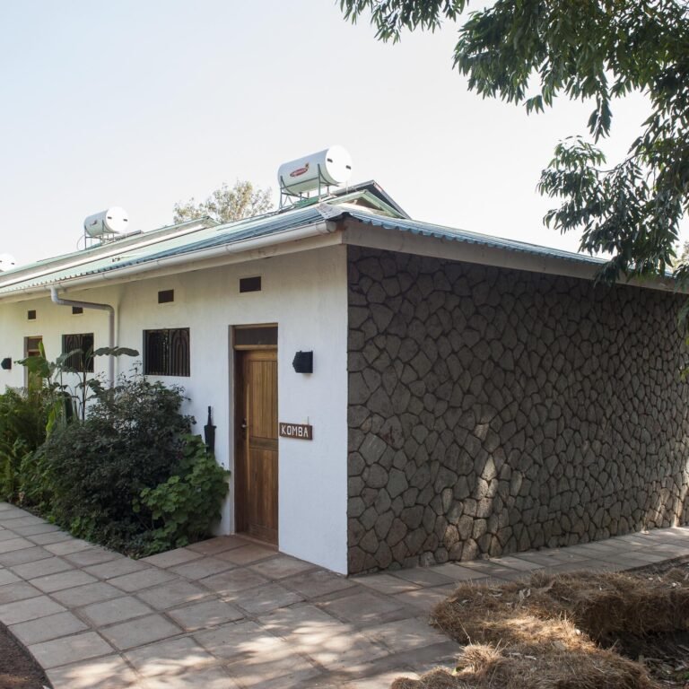 Ngorongoro highlands