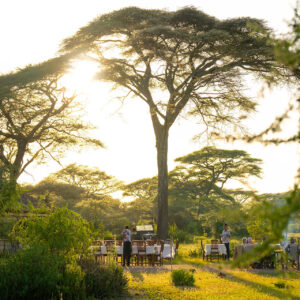 Ndutu Safari Lodge, A Guide to Choosing Safari Accommodation, Guide to Your First African Safari