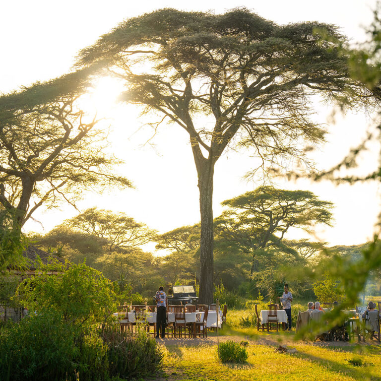 Ndutu Safari Lodge, A Guide to Choosing Safari Accommodation, Guide to Your First African Safari
