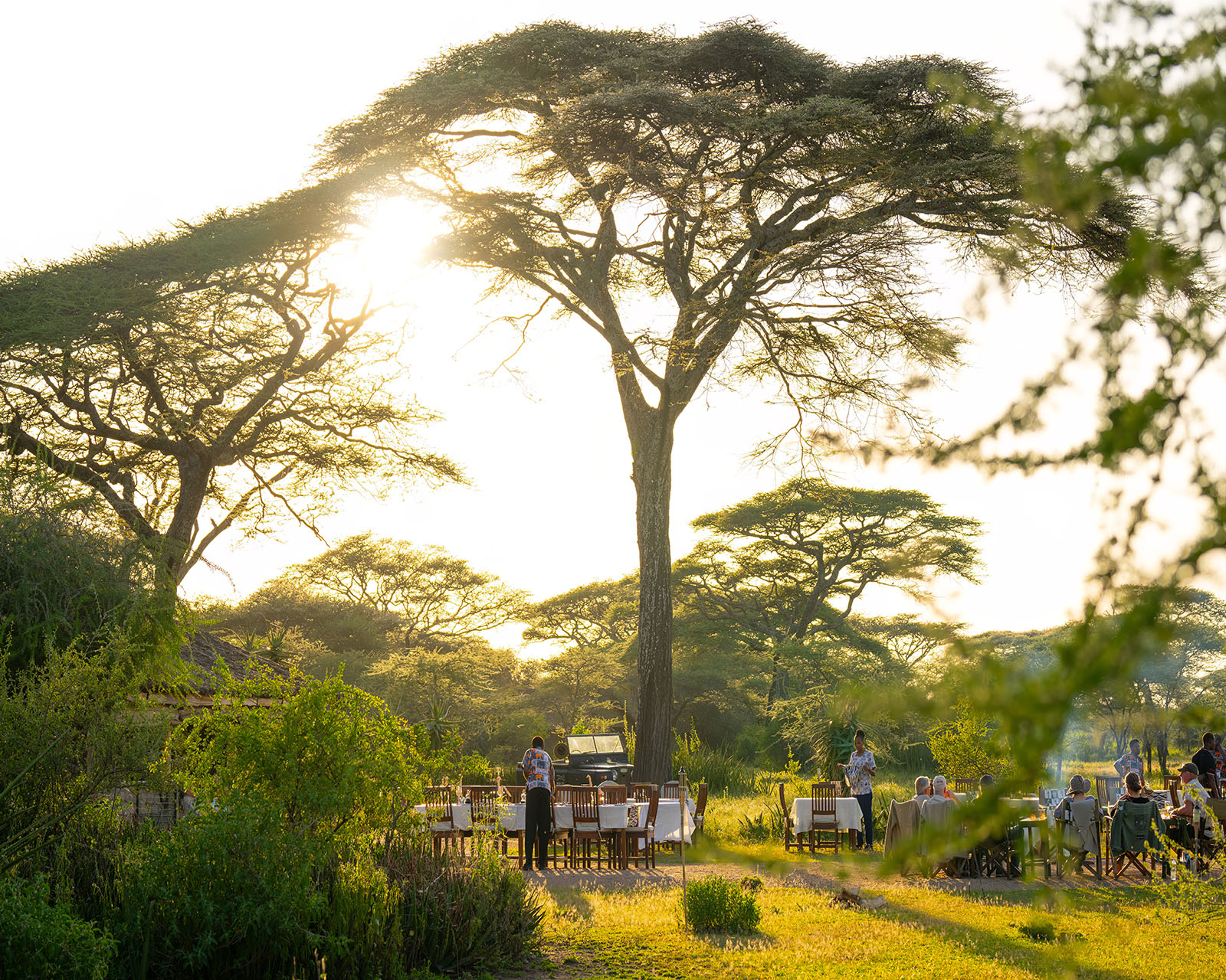 Ndutu Safari Lodge, A Guide to Choosing Safari Accommodation, Guide to Your First African Safari