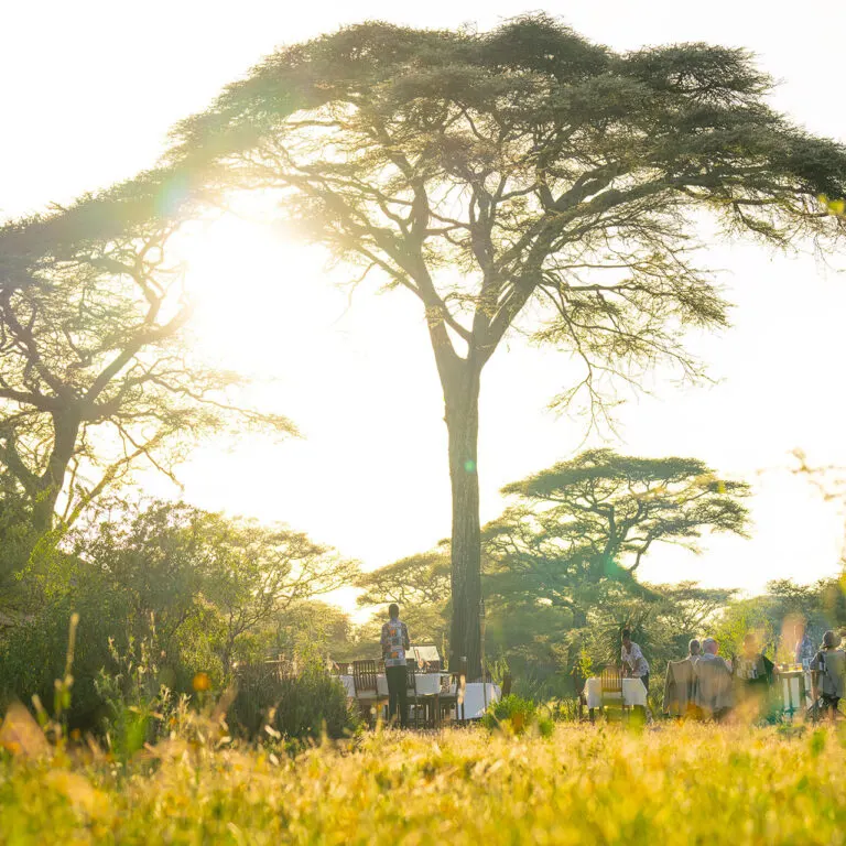 Ndutu Safari Lodge, Ultimate Northern Tanzania Safari Adventure