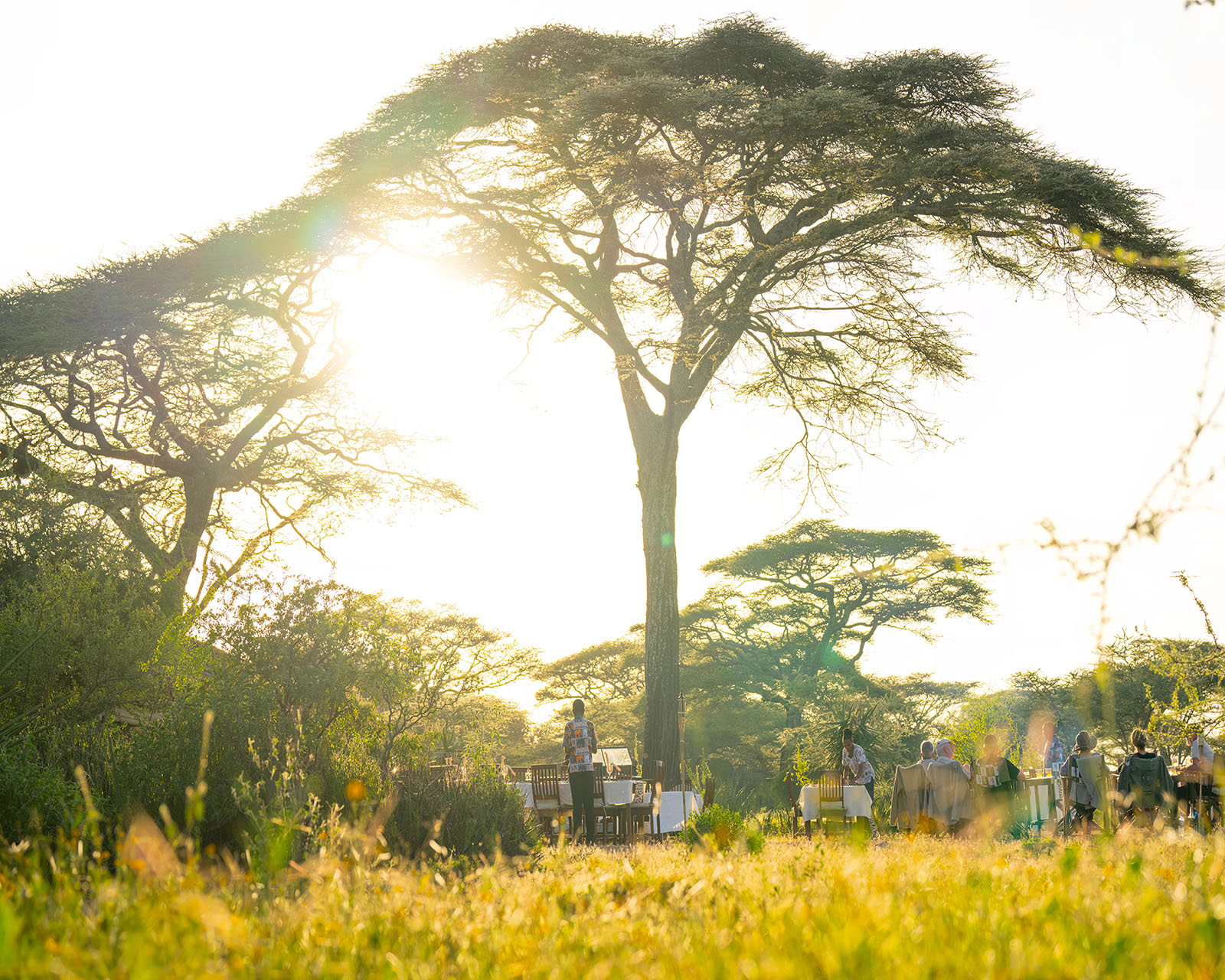 Ndutu Safari Lodge, Ultimate Northern Tanzania Safari Adventure