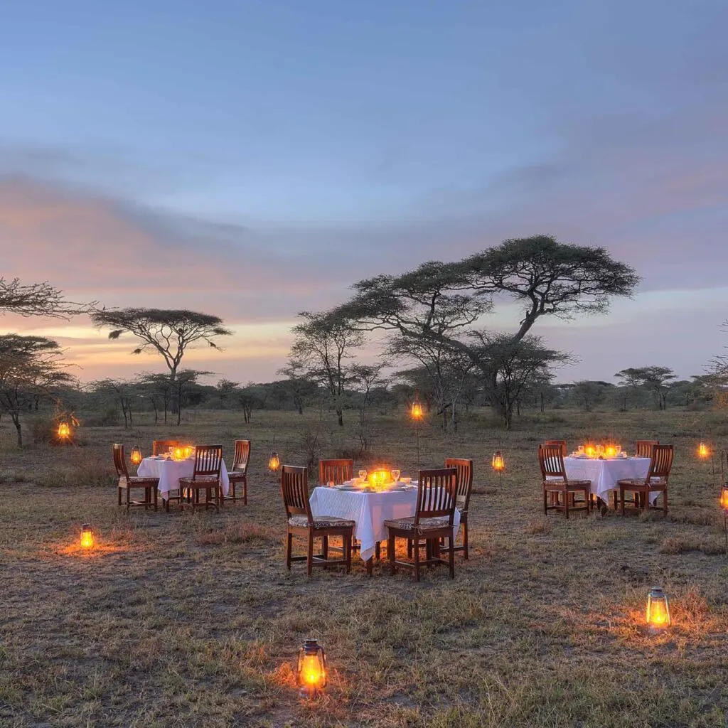 Tanzania Glamping Safari Experience