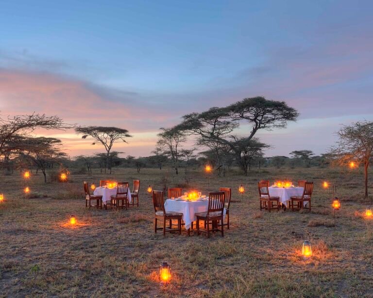 Ndutu Safari Lodge, Tanzania in December: Travel Tips, Safari, Weather & More, Why Tanzania is the best safari country, Tanzania Safari Routes and Distances, Tanzania Glamping Safari Experience, How to Book a Safari in Tanzania from USA, Why a Private Safari Is the Best Way to Explore Tanzania?